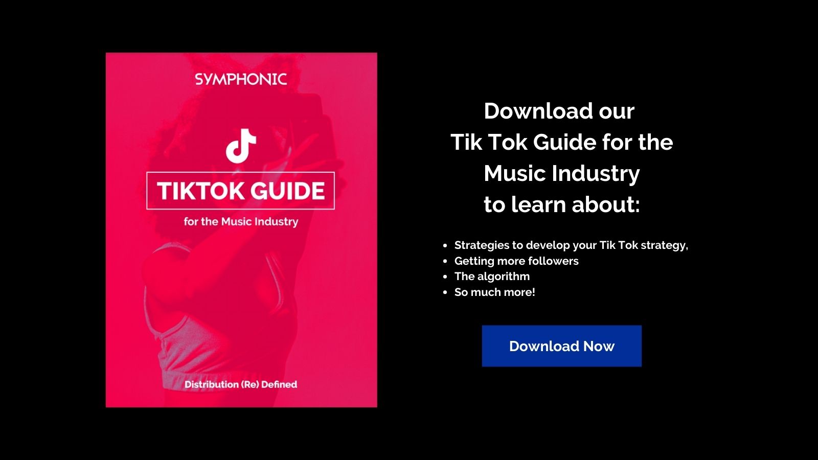 TikTok guide 